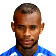 Image result for leandro bacuna