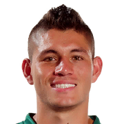 Nicolas Roa Face