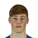 William Fitzgerald Face