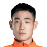 Wang Zhifeng Face