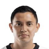 Javier Ibarra Face