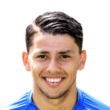 Gustavo Hamer Face