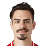 Andrei Radu Face