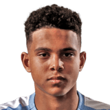 Raphael Borges Rodrigues Face