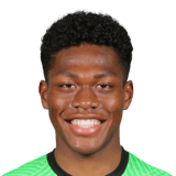 Zion Suzuki Face